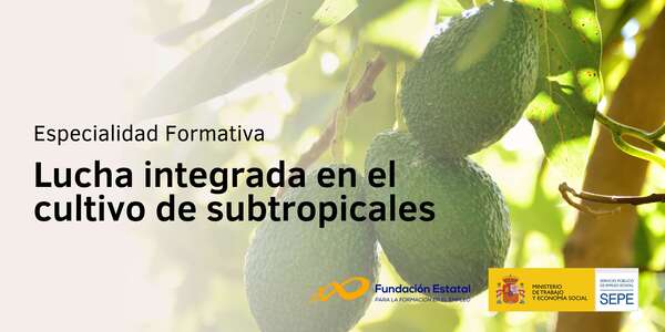 Lucha integrada en el cultivo de subtropicales