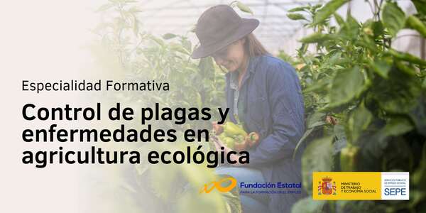 Control de plagas y enfermedades en agricultura